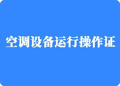 日本大骚逼制冷工证